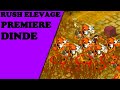 RUSH ELEVAGE - MES PREMIÈRES DRAGODINDE