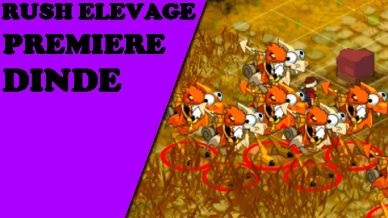 RUSH ELEVAGE - MES PREMIÈRES DRAGODINDE - YouTube