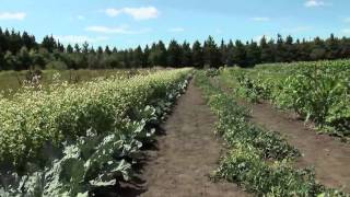 Northern Grown:How is Thunder Bay Feeding Itself?