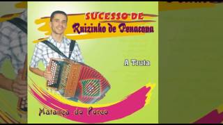 Video thumbnail of "Ruizinho de Penacova - A Truta"