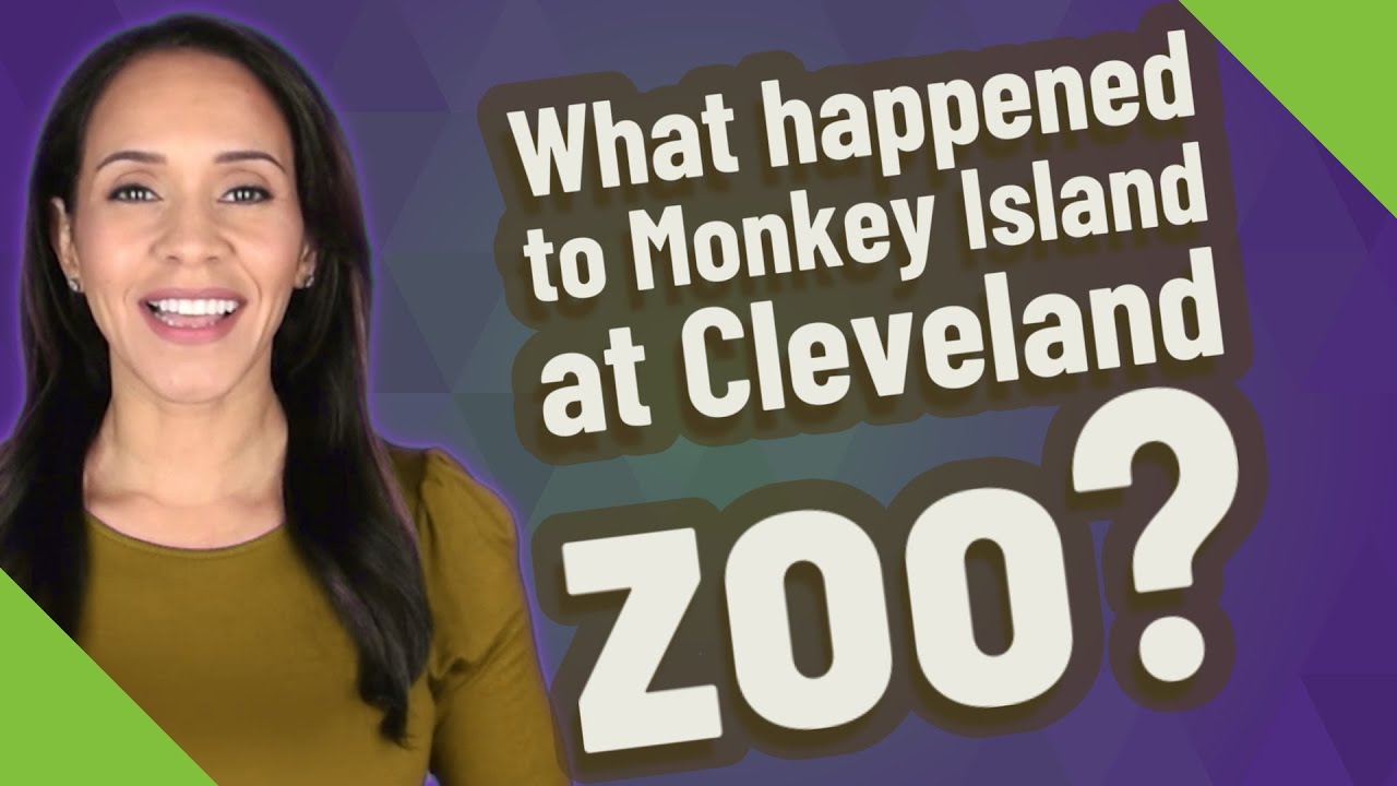 What happened to Monkey Island at Cleveland zoo? YouTube