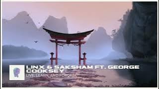 LinX & Saksham ft.George Cooksey  - Live, Learn, and Forget