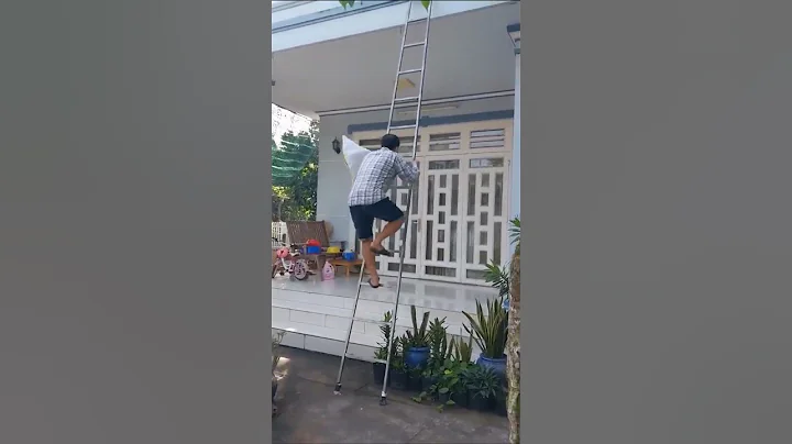 Bắc thang lên trèo lên nóc nhà và định là...#short #trend #viral #trending #tiktok #tuandominh1985