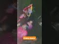 chitta dance