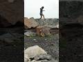 zindagi bata de / Toni kakkar song / shorts video viral / #shorts #viralshorts #shortvideos #viral