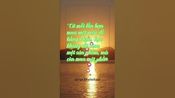 Rùa Biển Đang Kêu Cứu – Bạn Có Nghe Không?