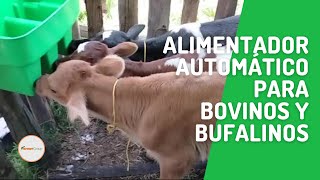 Alimentador Nodriza Automático Para Bovinos Y Bufalinos Former Group