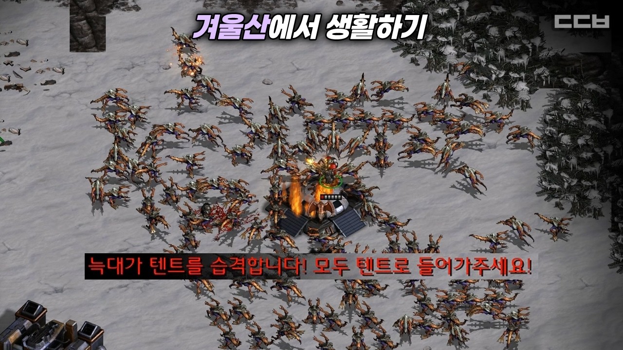 겨울산에서 생활하기