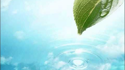 سورة الحج كاملة يوسف كالو 2 2 Surat Al Haj Yousef Ka