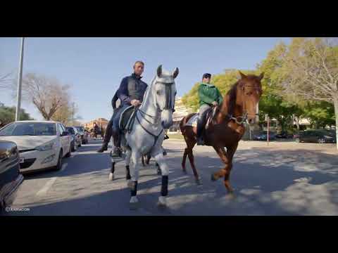 Desfile de Caballerías de las fiestas de San Antonio Xàbia 2022