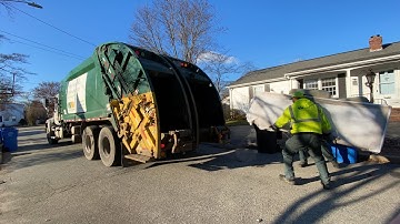 WM RL Split Body VS. bulk and Christmas trees