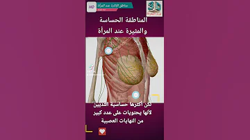 المناطق الحساسة والمثيرة في جسم المرأة 