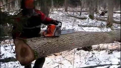 Cutting and handling of tree chainsaw Husqvarna 562 XP
