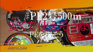 高いぞ！PE！！ そこで破格値のPE。納得出来そうなものがあるか！？