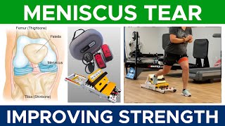 Meniscus Tear | Improving Strength | Part 2