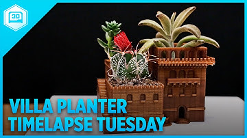 Middle Eastern Villas Planter - Timelapse Tuesday