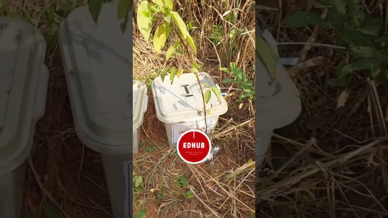 Fake ballots boxes discovered in bush after elections 