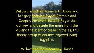 Willow and the Motorway Horses