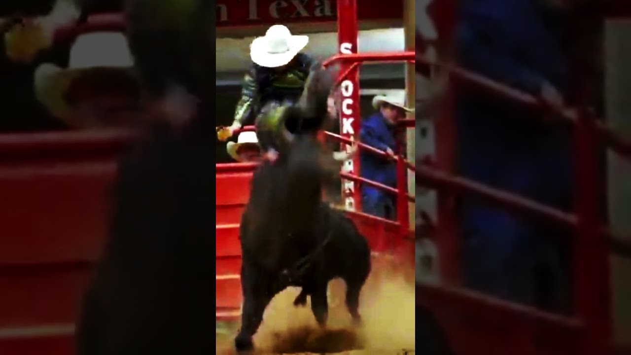 When You are Physically & Physics wise a PHD 