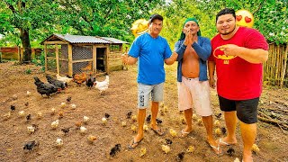 NASCEU O FILHO DA GALINHA ( PRODUÇÃO não parar) 😍😍