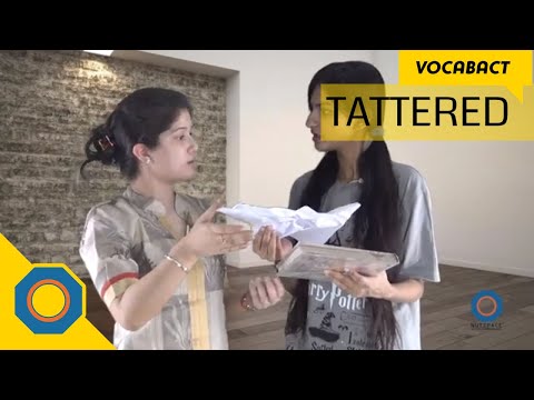 Videó: Mit jelent a tetrabranchiate szó?