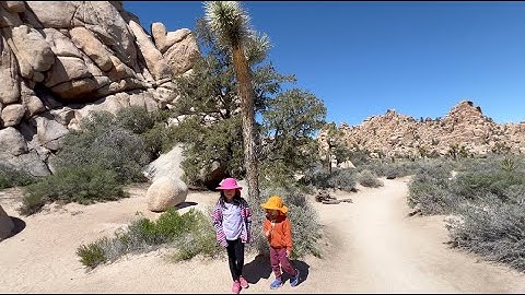 Joshua Tree - Spring Break 2024