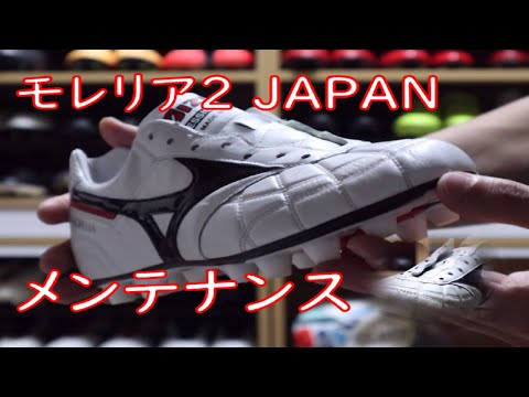 モレリア2 JAPAN お手入れ方法