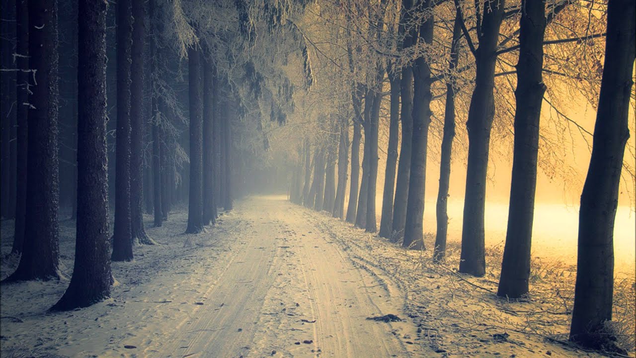 (HD) X3SR - S H Ξ technomancer