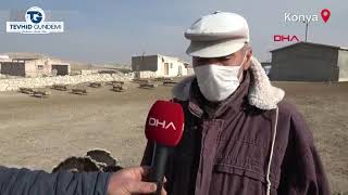 Konyanın Karapınar Ilçesinde Yöre Halkı Tedirgin Tevhid Gündemi