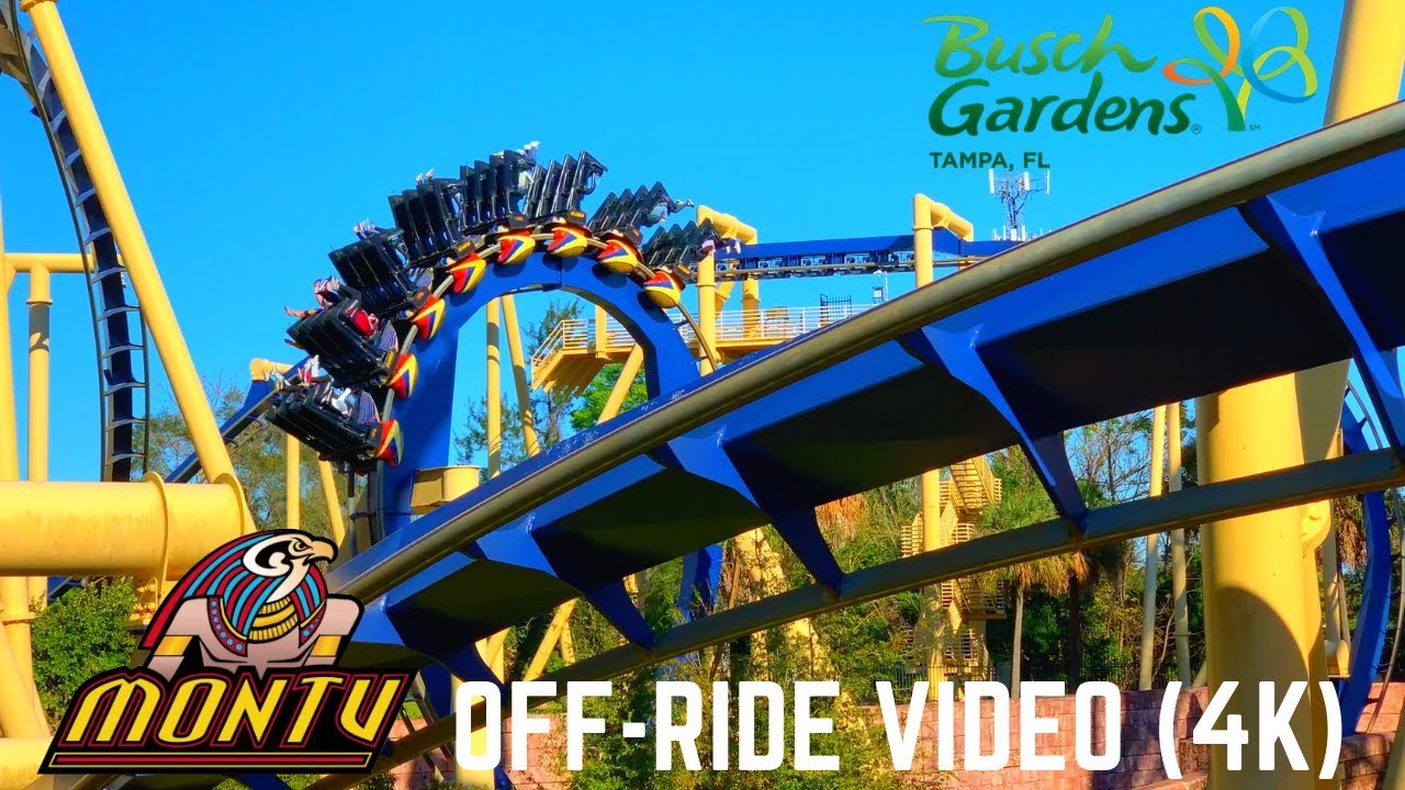 Busch Gardens Africa » Montu » montu-turn1.jpg