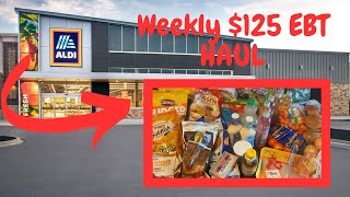 EBT GROCERY HAUL AT ALDI | $125 BUDGET |