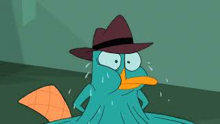 perry the platypus, you ate all the cheese? Resimi