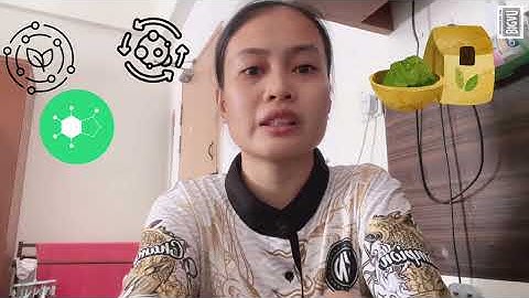 DUE30022 COMMUNICATIVE ENGLISH - DIFFERENCES BETWEEN M47CH4 & GR33N T3A‼️