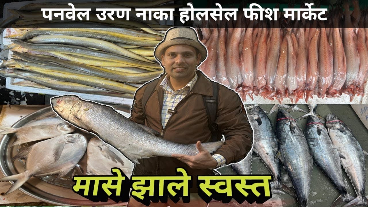 मुंबई का सस्ता होलसेल फिश मार्केट|Panvel Uran Naka Fish Market|Wholesale Fish Market In Navi Mumbai 