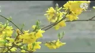 Mediacom View Bkgnd 4