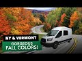 VAN LIFE TRAVEL: NY & New England (Traveling North with Cats in a DIY Ford Transit Campervan)