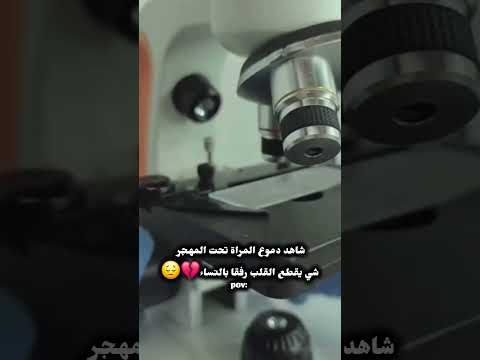 شاهد لنهاية دموع المراة تحت المهجر حالات واتس ستوريات اقتباسات ترند لايك اكسبلور اشتراك مضحك