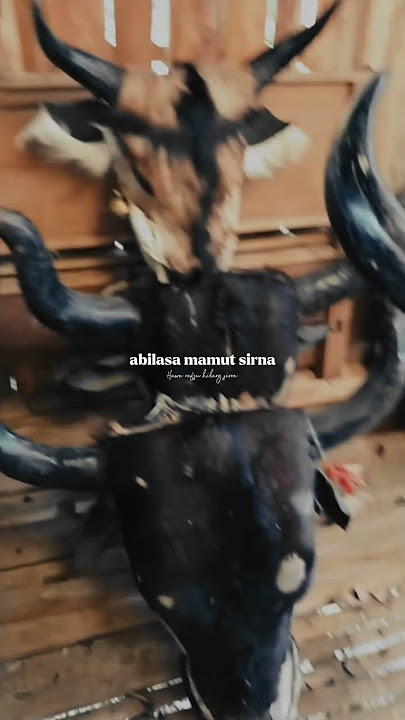 Bantengan Legend e TPSJ Bringin wajak #jaranankidalan