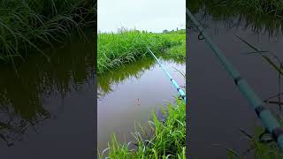 Amazing Fishing Catch | Big Fish Trap Success | River Fishing Adventure