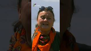 Ölmez Çiçek Altın Ot, Immortel