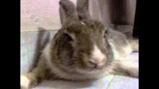 Jennifer Lopez - On The Floor (Male Version)