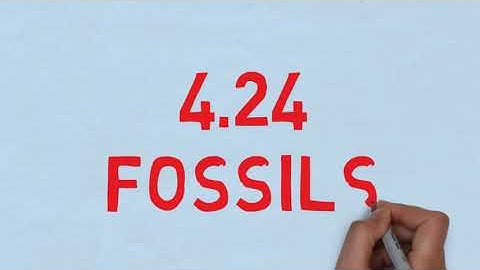 Fidic Sub-Clause 4.23-4.24