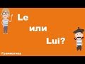 Le или Lui?