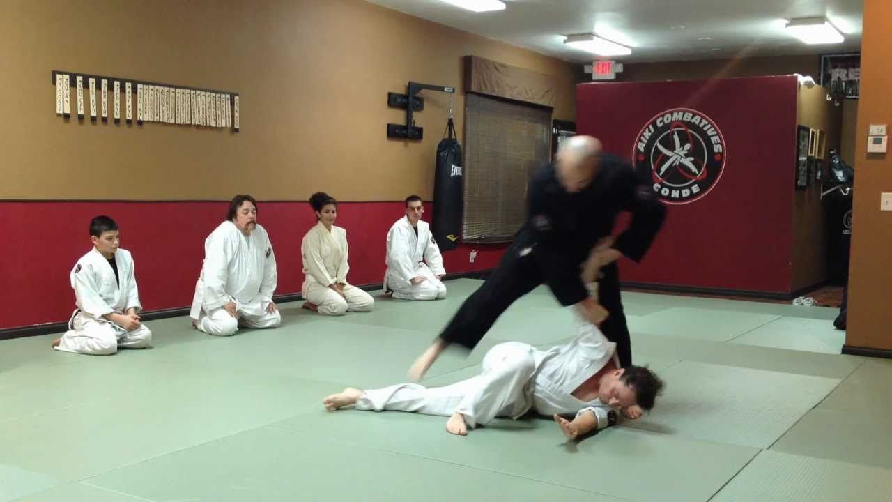 Aikido Combatives & Martial Arts Boca Raton South Florida (Aikicom)