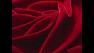 Serge Devant feat. Hadley -  Addicted (Radio Edit)