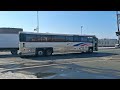 Valentines Day Buses Ft. The River Line