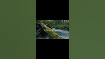 قرآن كريم بصوت ماهر المعيقلي ||حالات قرآن كريم || Quran status