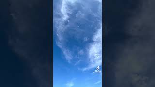 Tiktok Güvercin Videoları