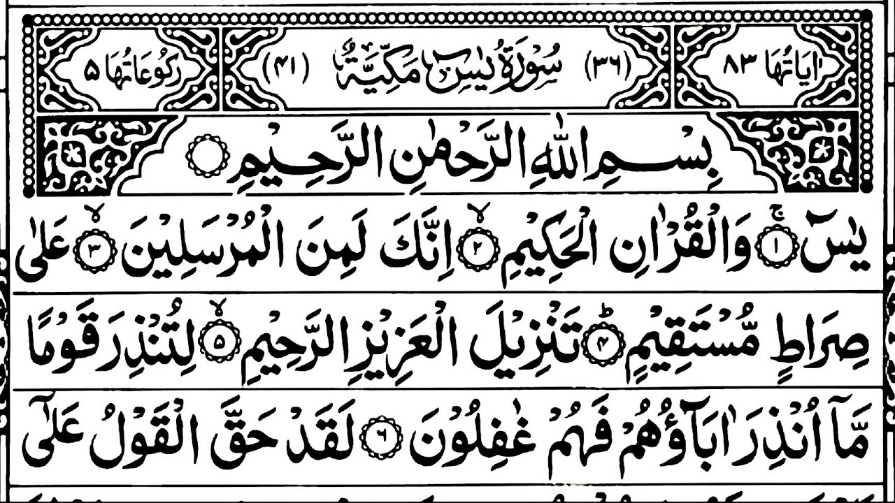 Surah Yasin | Surah Rahman 📿🕌🧡| Surah Waqiah I Surah Mulk | Ep-271 | Full With Arabic | SheikhSaddam