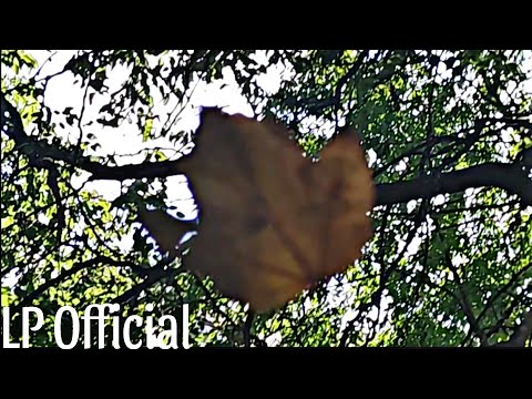 IVE ‘Either Way (Athena ver.)’ Teaser 1 | Autumn Daylight ver.